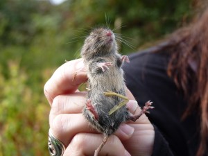 One of our residents.